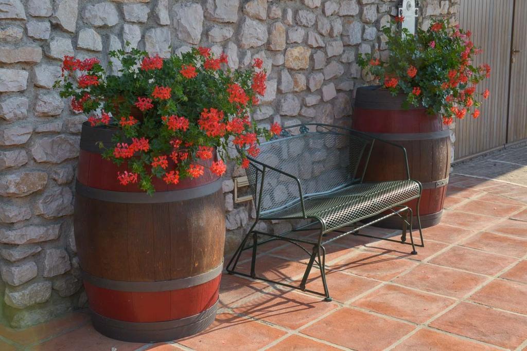 Agriturismo Kogoj Medea Dış mekan fotoğraf